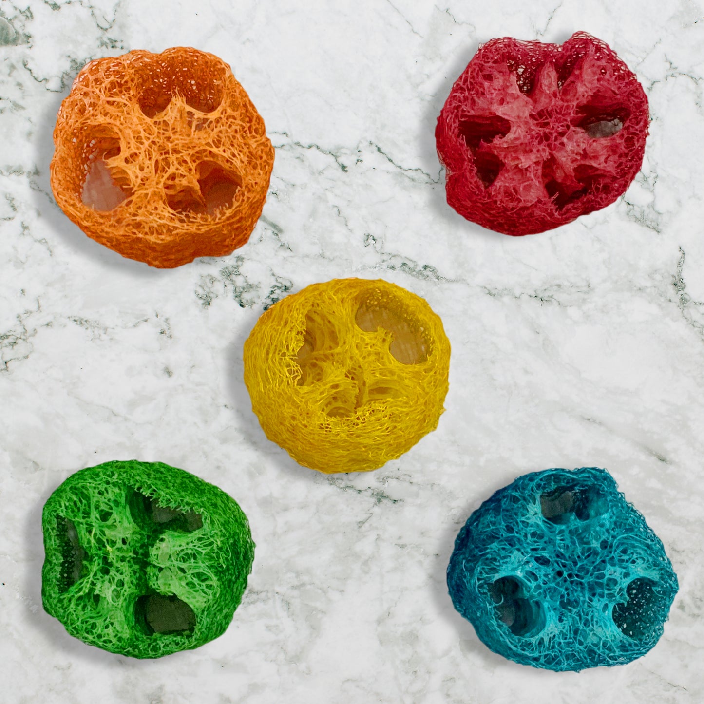 Congo® 5 Pc. Funtastic Chew Slice for Chew and Playing for Budgies, Finches, Cockatiel, Lovebirds, and Other Small Birds (Set of 1)