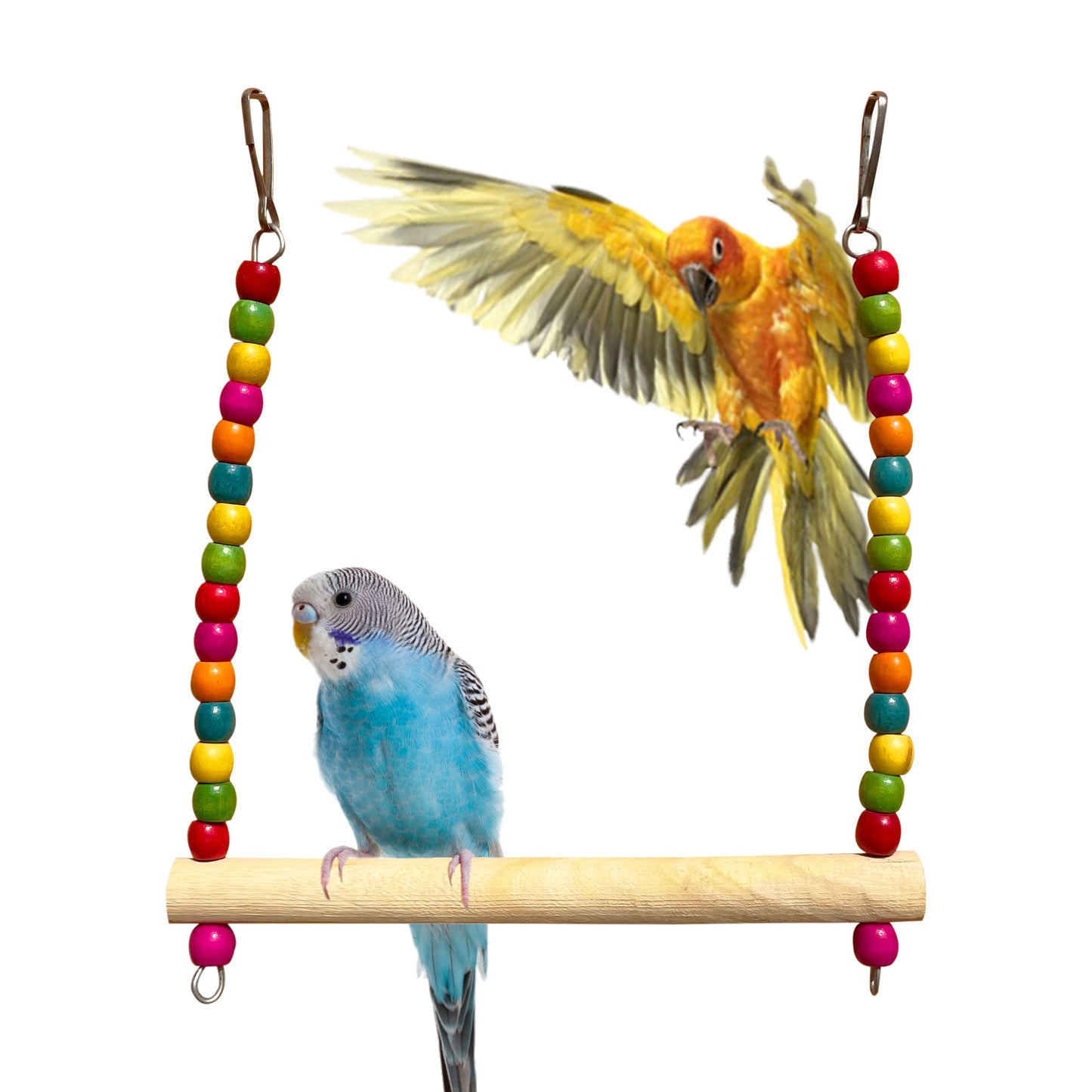 Congo® 22X20cm Colorful Wooden Beads Swing for Budgies, Parakeet, Lovebirds, Cockatiels, Conure and Other Birds
