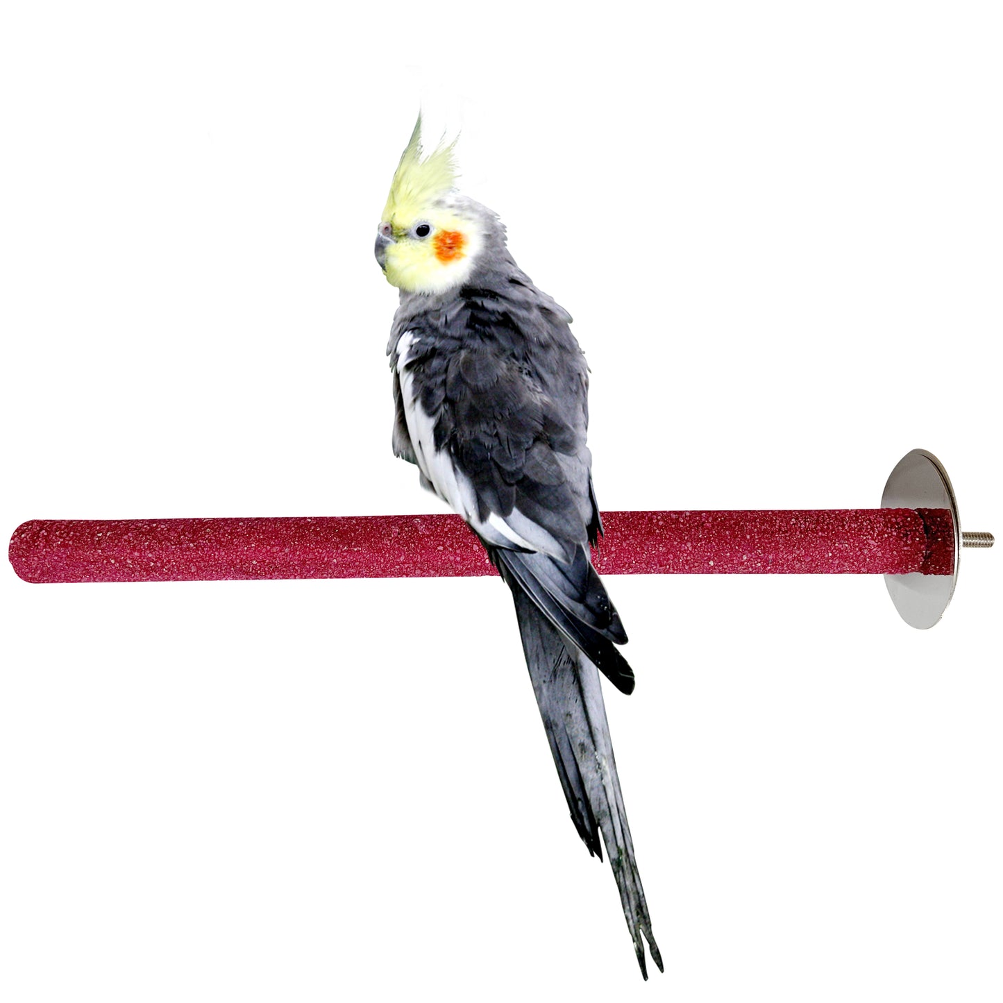 Congo Premium 12" Safe Chew Bird Sandy Sand Perch for Grinding Nail for Budgies, Lovebirds, Cockatiels, Conure and Other Small Birds