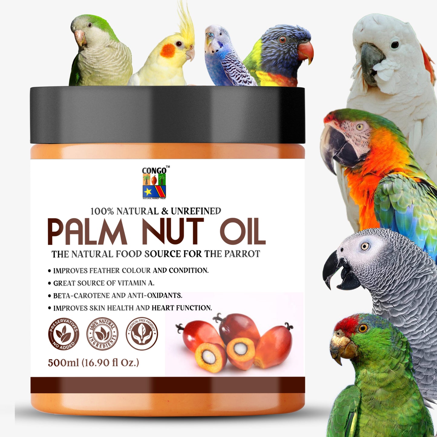 Congo 500g Palm Nuts Oil for Healthy Feather & Wings for Finches, Budgies, Conures, Lovebirds, Cockatiels, African Grey, Macaws, Cockatoo, Eclectus and Other Birds (500gm)