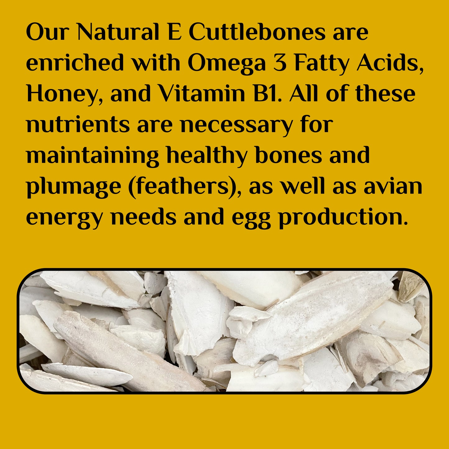 Cuttle Fish Bone (Pieces) – Natural Calcium Source for All Birds 200gm