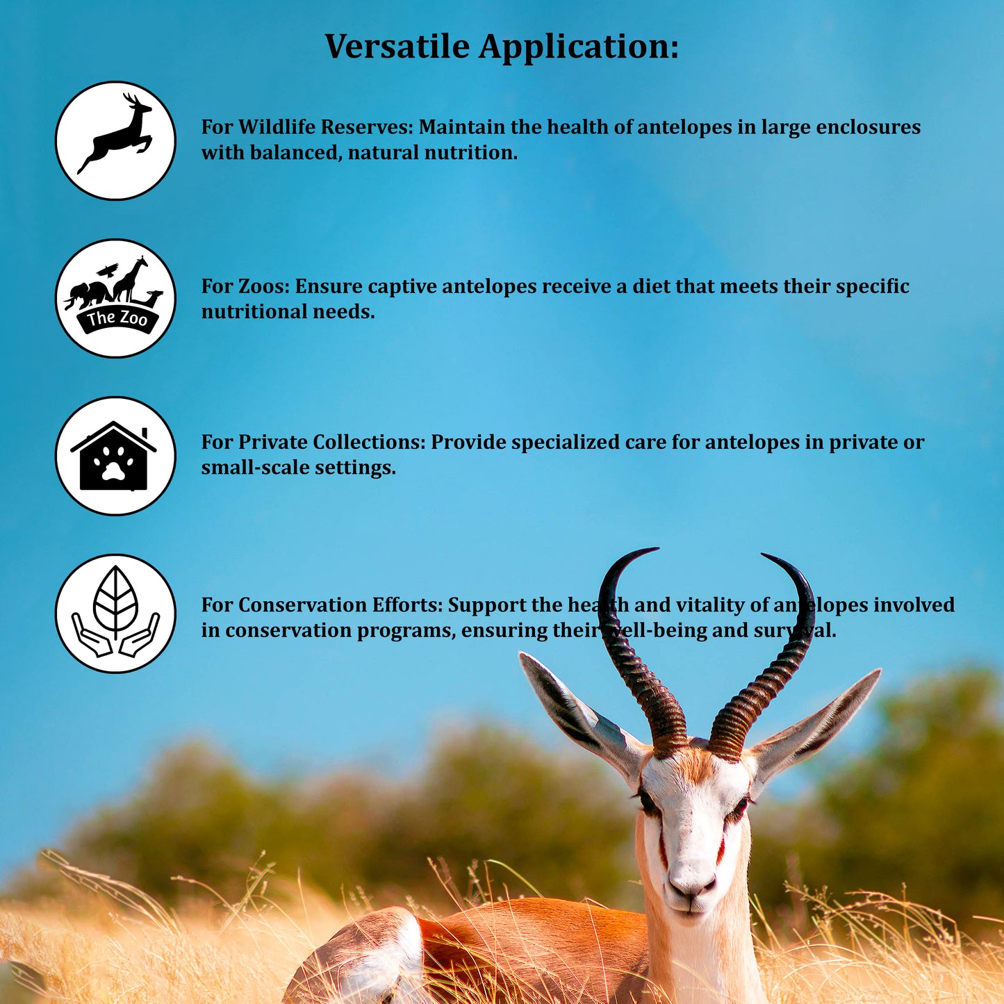 Antelope Feed – Specialized Nutrition for Healthy and Active Antelopes