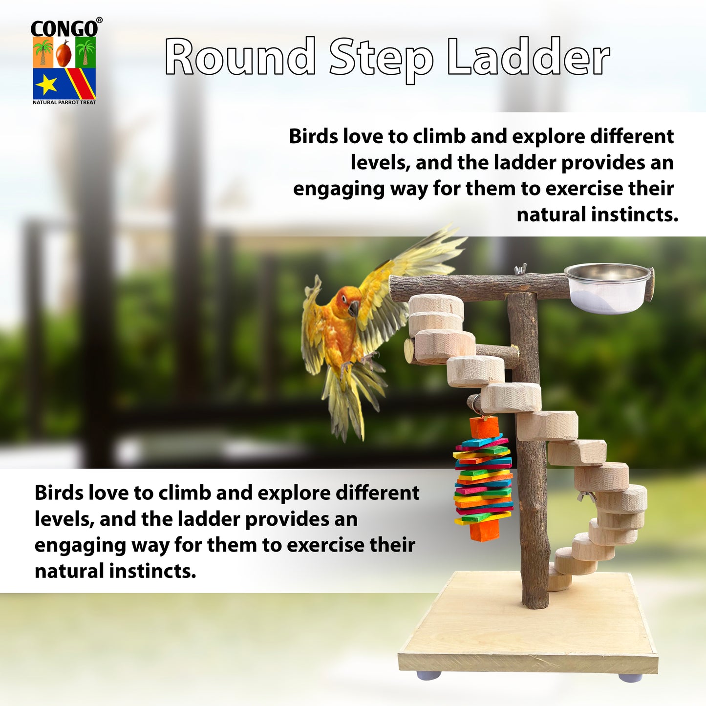 Congo® 1.5 Ft. (45 cm) Mini Ladder Stand with Steel Feeding Bowl for Birds Playing and Sitting for Cockatiels, Conure, Senegal, Amazon and Other Birds