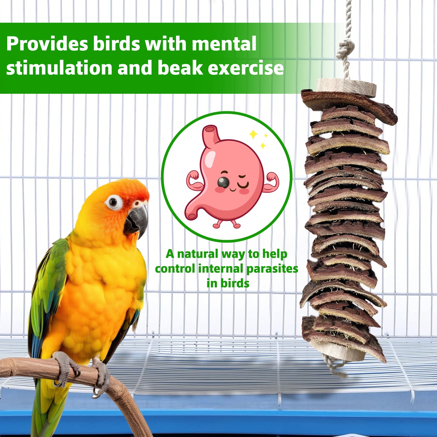 CONGO - NATURAL PARROT TREAT Wooden Deworming Assorted Wooden Chew Toys For Conure, African Grey, Amazon Parrot, Macaw, Cockatoos And Other Birds
