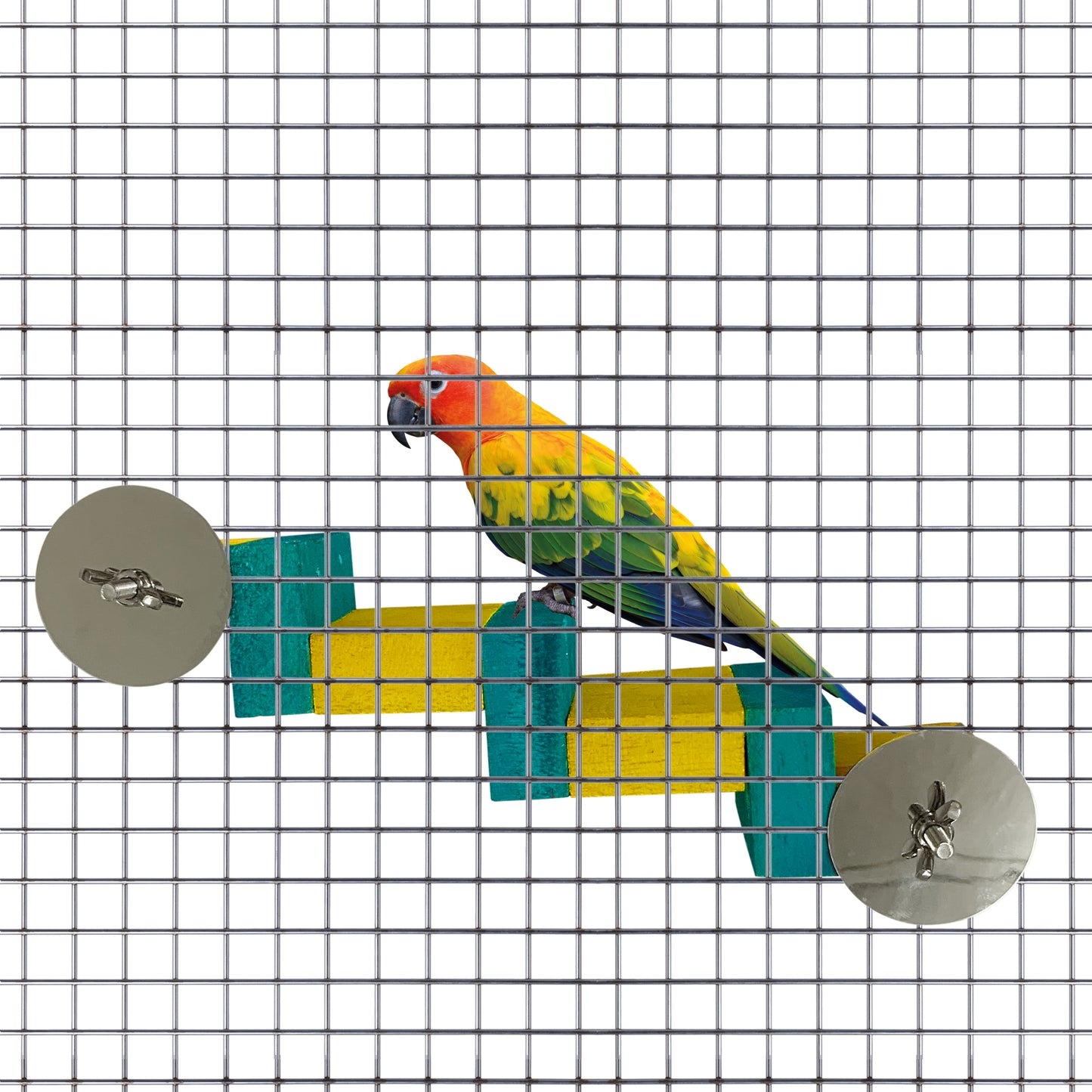 Congo Natural 11X4 in. Colored Fix Ladder On Cage for Lovebirds, Cockatiels, Senegal, Conure and Other Birds (Piece of 1)