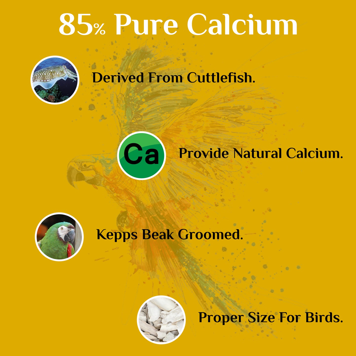 Cuttle Fish Bone (Pieces) – Natural Calcium Source for All Birds 200gm