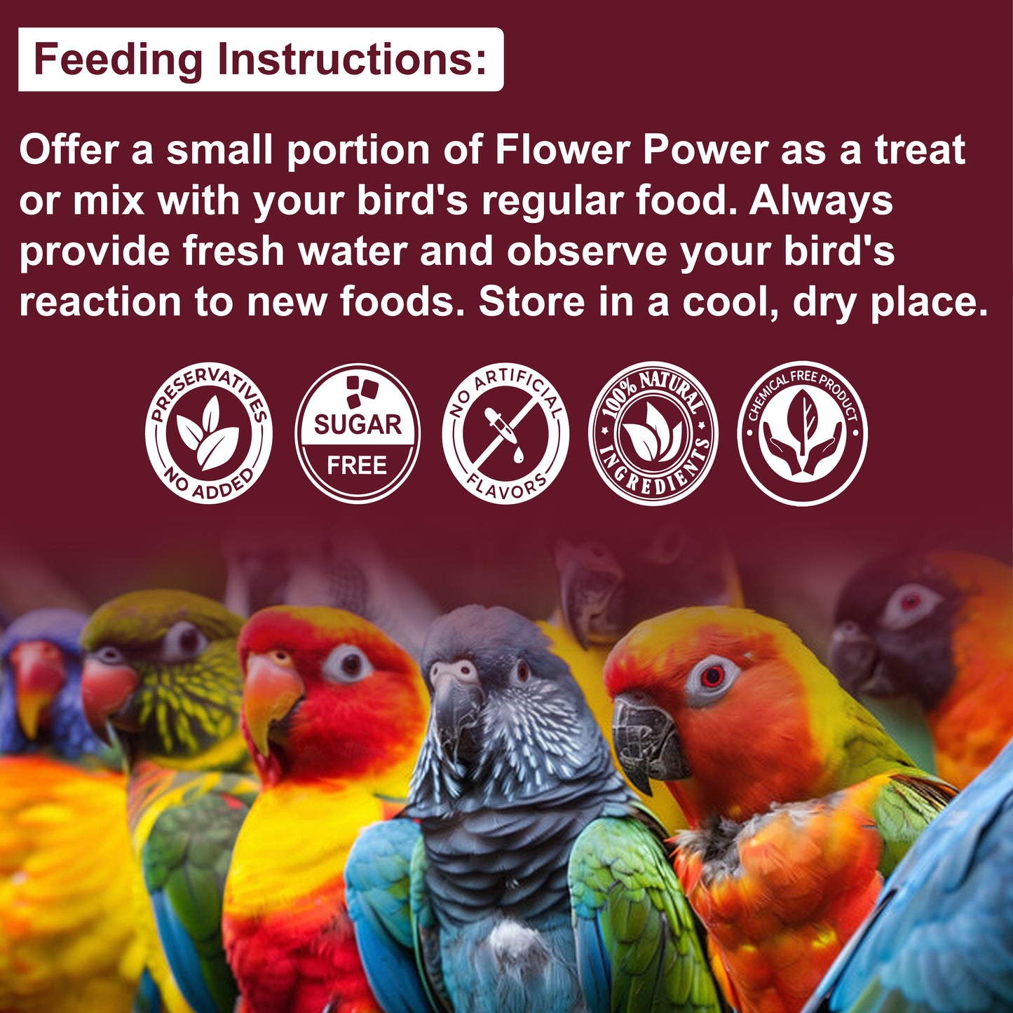 Congo® Flower Power 20 Flower Mix Treat Food for Budgies, Finches, Lovebirds, Cockatiels, Conure, Rosella, Amazon, African Grey, Macaw, Cockatoos and Other Birds