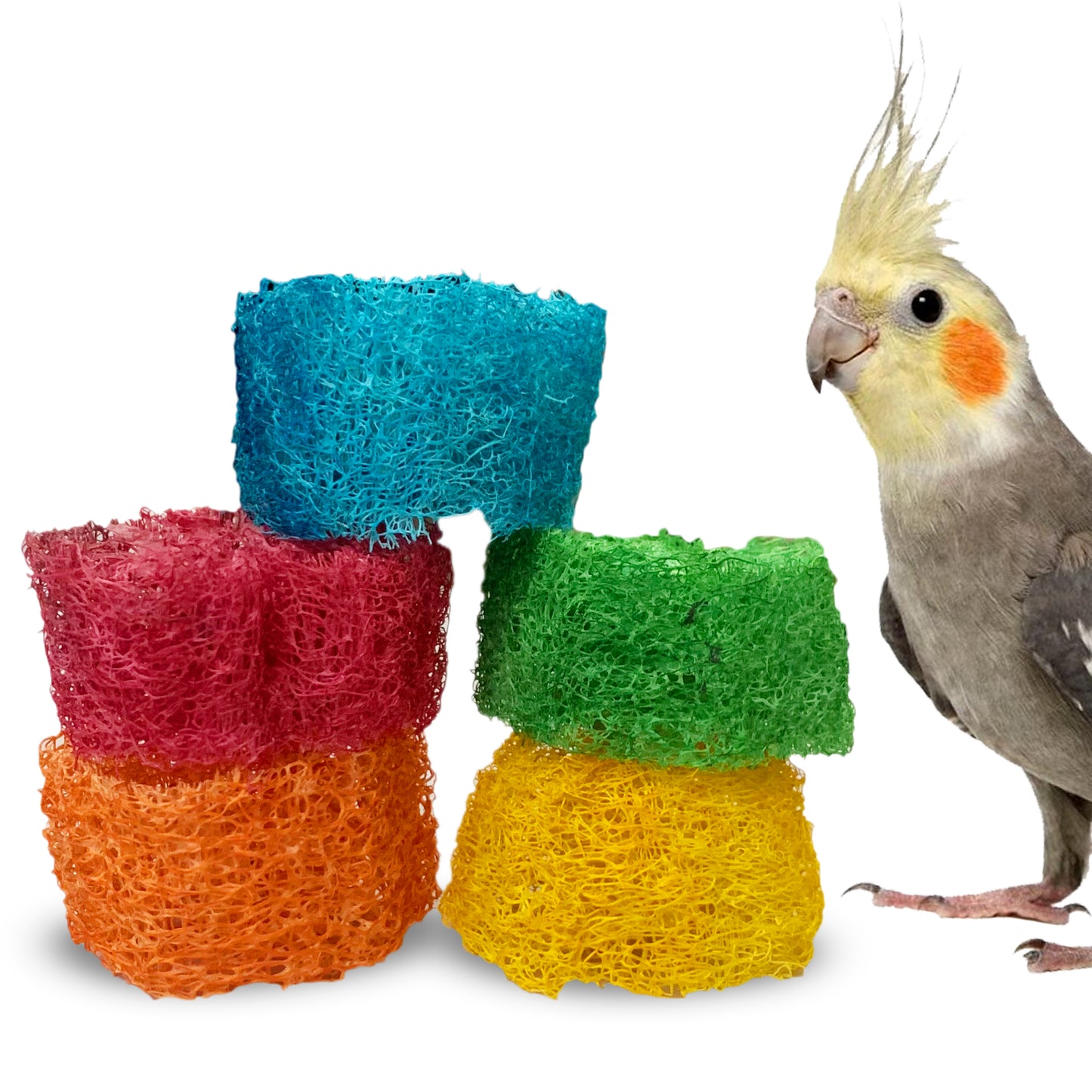 Congo® 5 Pc. Funtastic Chew Slice for Chew and Playing for Budgies, Finches, Cockatiel, Lovebirds, and Other Small Birds (Set of 1)