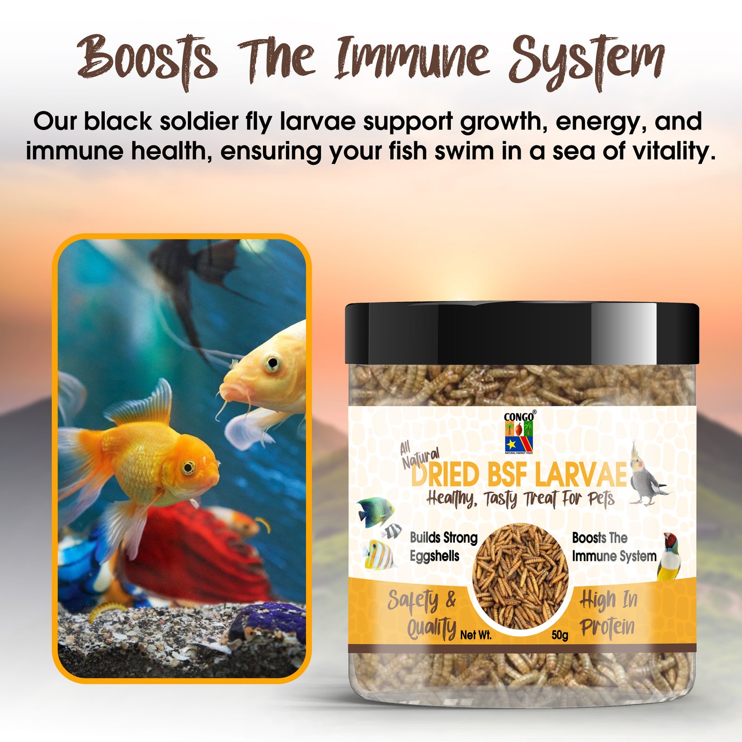 Congo® BSF Dry Larvae 50g High Protein Treat for Fish, Birds, Turtles, Tortoise and Other Pets, 50g