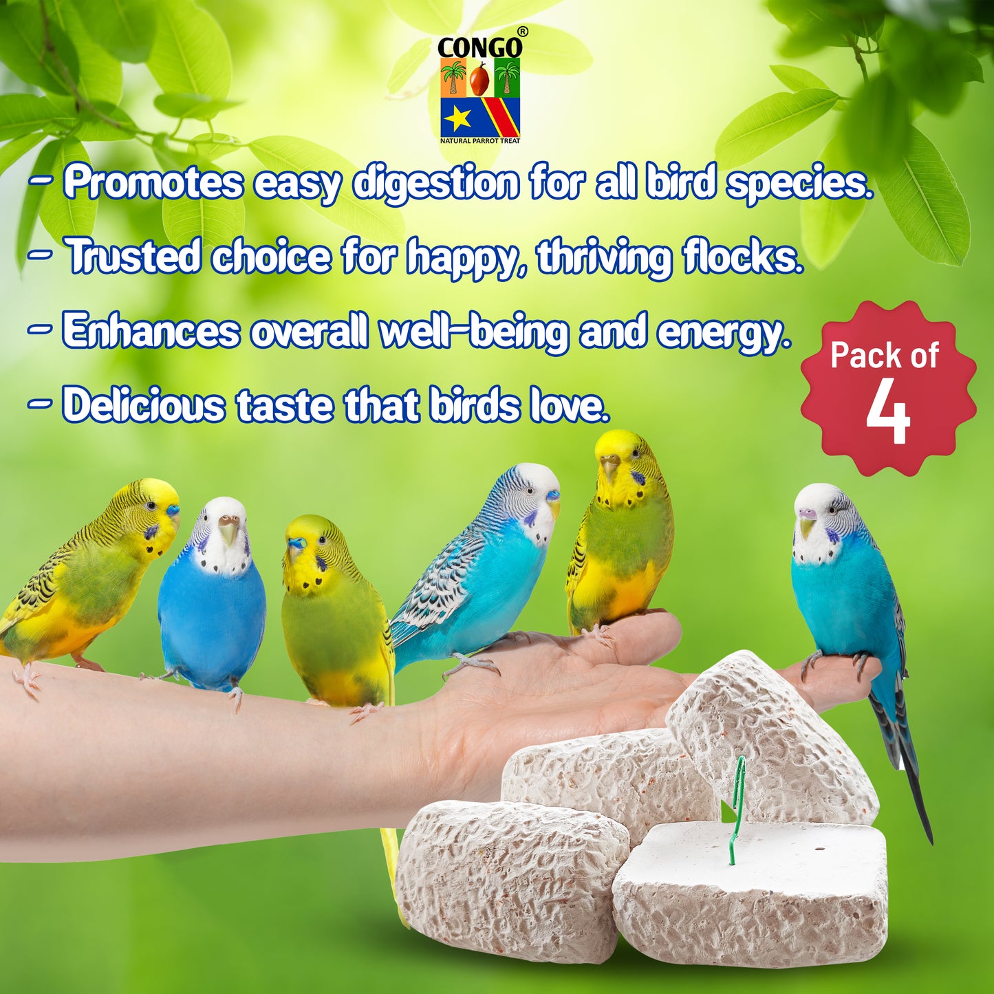 Congo® High Calcium Block for Birds | Bird Food and Supplement | Easy to Digestive for Finch, Budgies, Lovebirds, Cockatiels, Conure and Other Birds. (Pack of 4-200 gm)