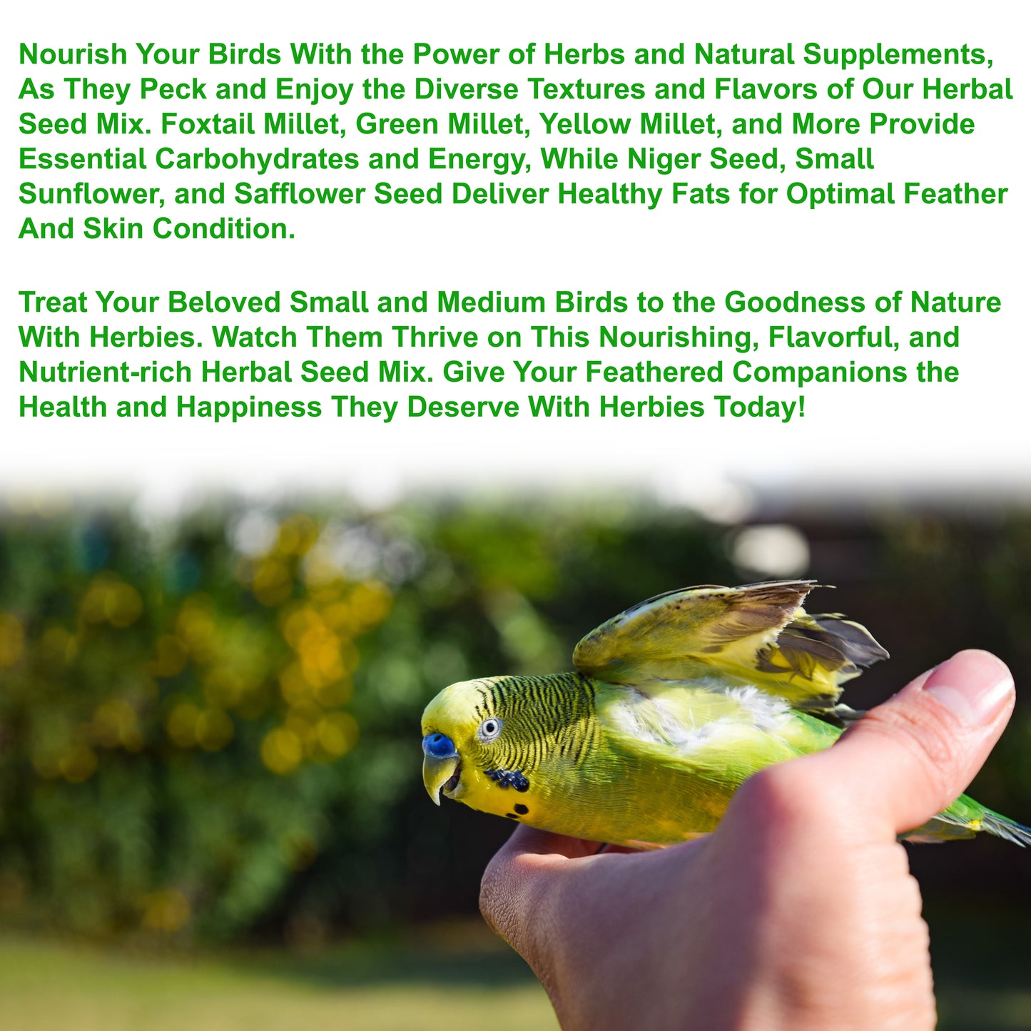 Congo® 900gm Herbies Herbal Seed Mix Nutritional Diet for Finch, Budgies, Lovebirds, Cockatiels, Conure and Other Small & Medium Birds, 900gm
