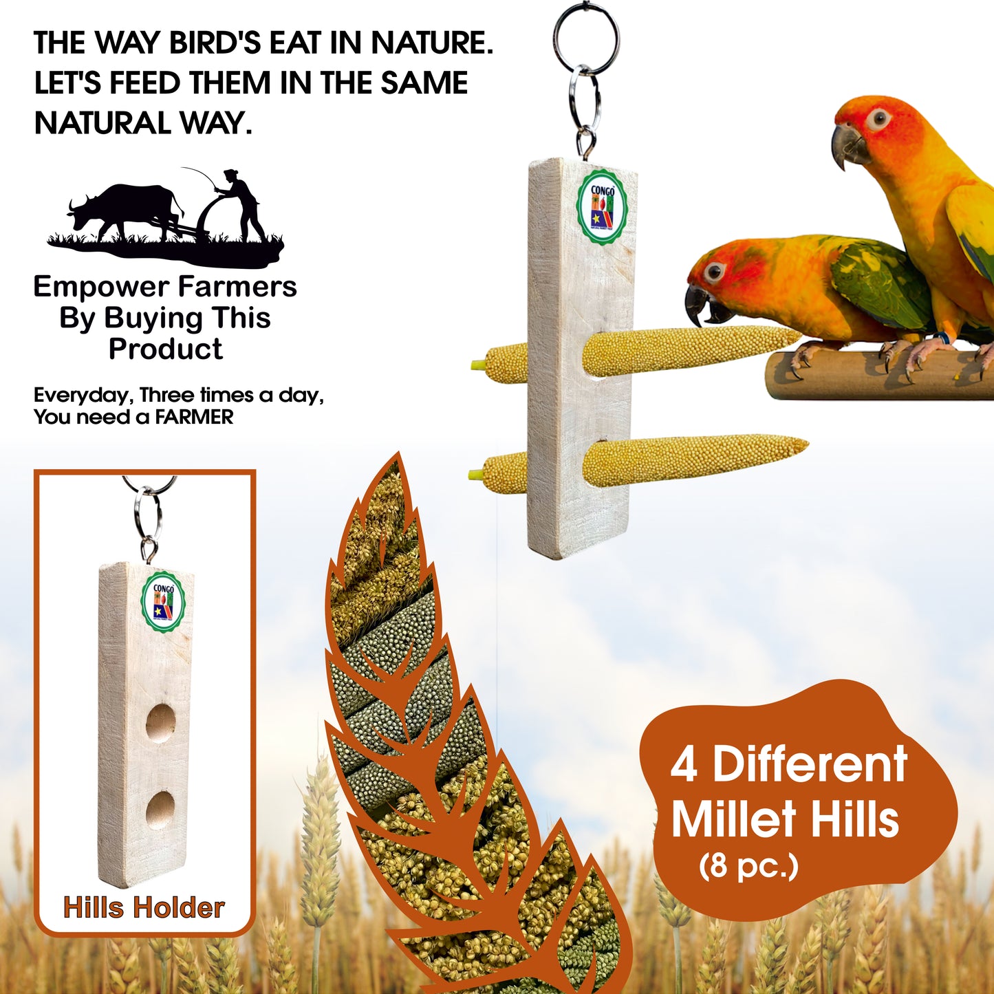 Congo® True Feed Different 4 Types of Millet Hills and Hills Holder (Foxtail, Barnyard, Sorghum, Pearl Millet) Foraging Bird Nutrition Food for Budgies, Lovebirds, Cockatiels, Conure, and Other Birds