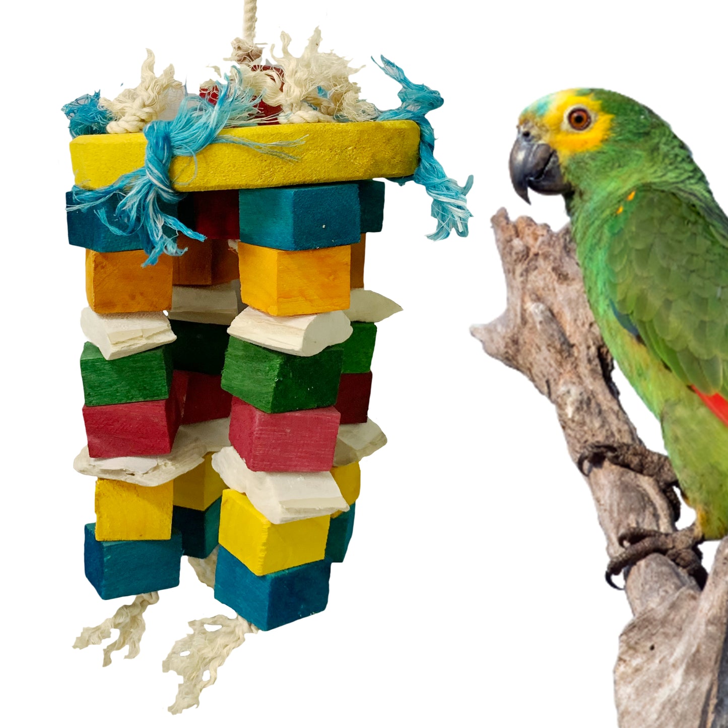 Congo® 31X18cm Cuttlebone Piece Color Hanging Jhummer for Conure, Amazon, Senegal, African Grey, Macaw, Cockatoo and Other Birds (Piece of 1)