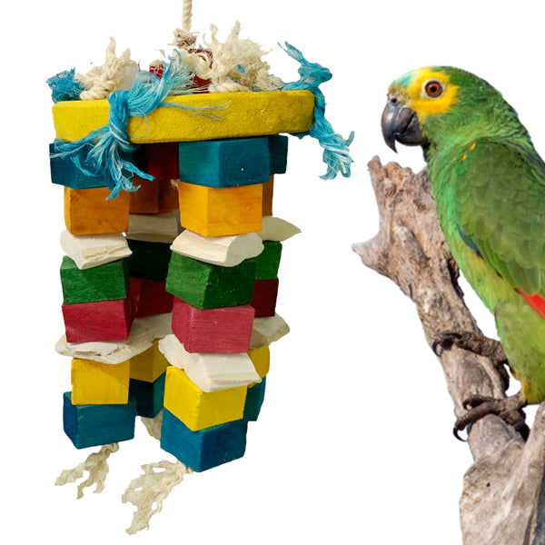 CONGO Cuttlebone Hanging Jhummer 31x18cm