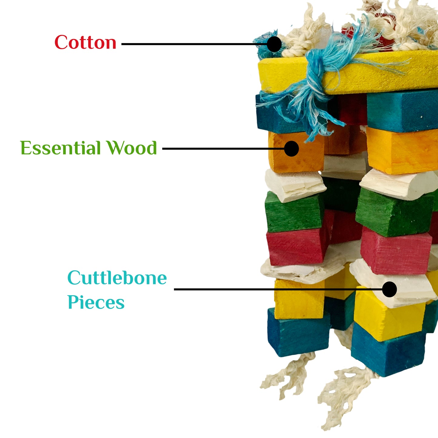 Congo® 31X18cm Cuttlebone Piece Color Hanging Jhummer for Conure, Amazon, Senegal, African Grey, Macaw, Cockatoo and Other Birds (Piece of 1)