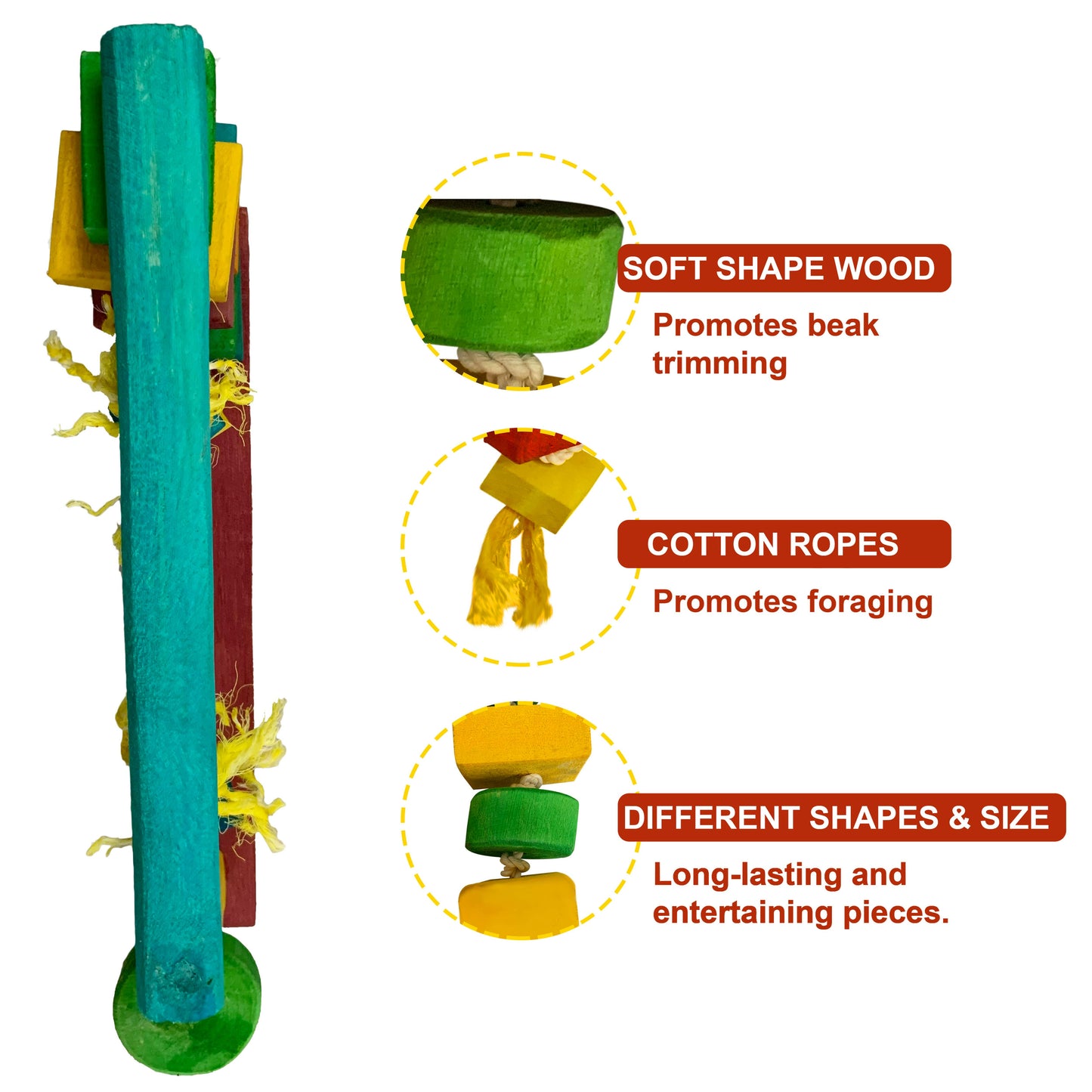 Congo 34X23cm Exclusive Colorful Exercise Swing Stand for Budgies, Lovebird, Monk Parakeet, Finch and Other Birds (Piece of 1)