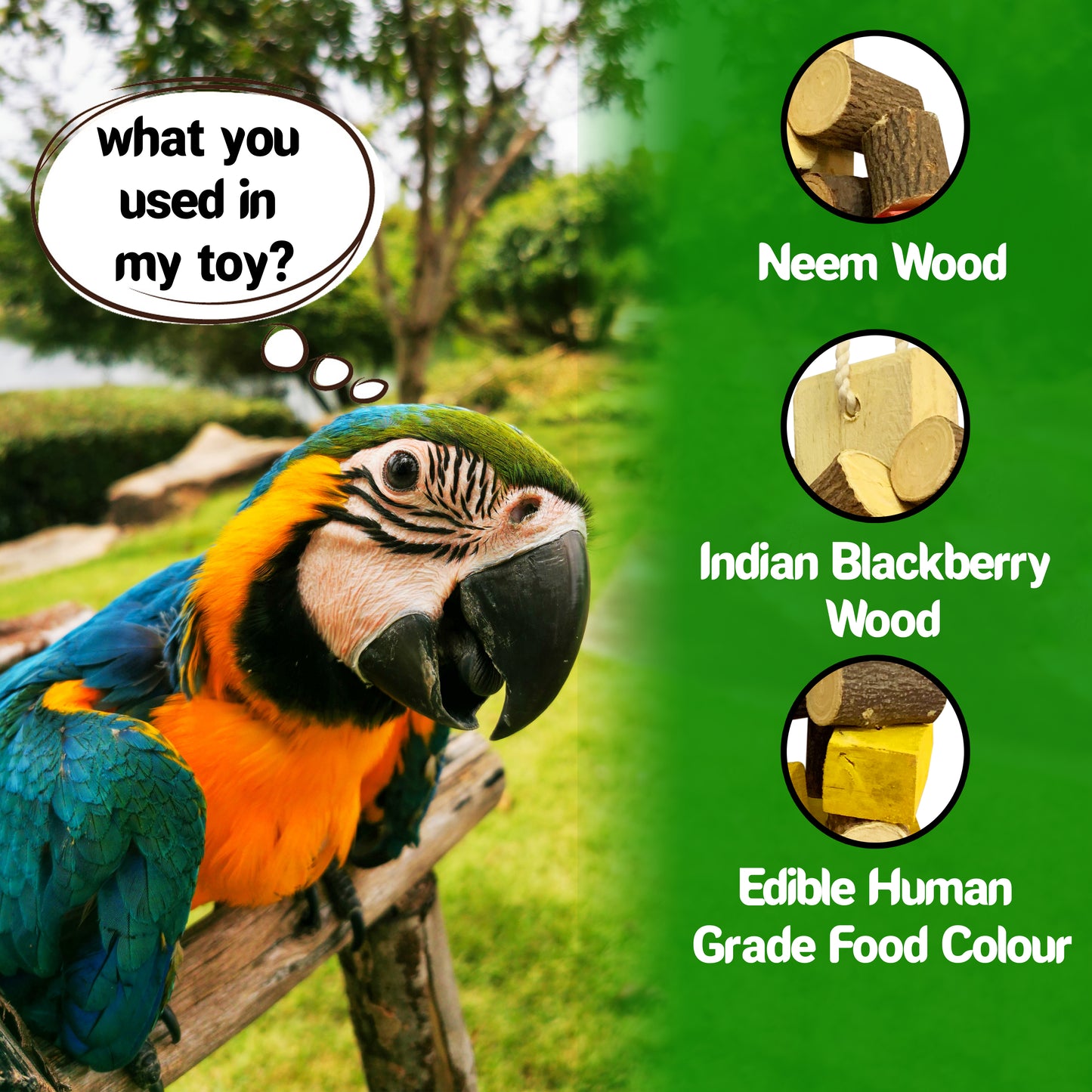 Congo® 55X24 cm Premium Non-Toxic Edible Colored Chewing Toy for Conures, Senegal, Amazon, African Grey, Macaws, Cockatoo, Eclectus and Other Birds (Piece of 1)