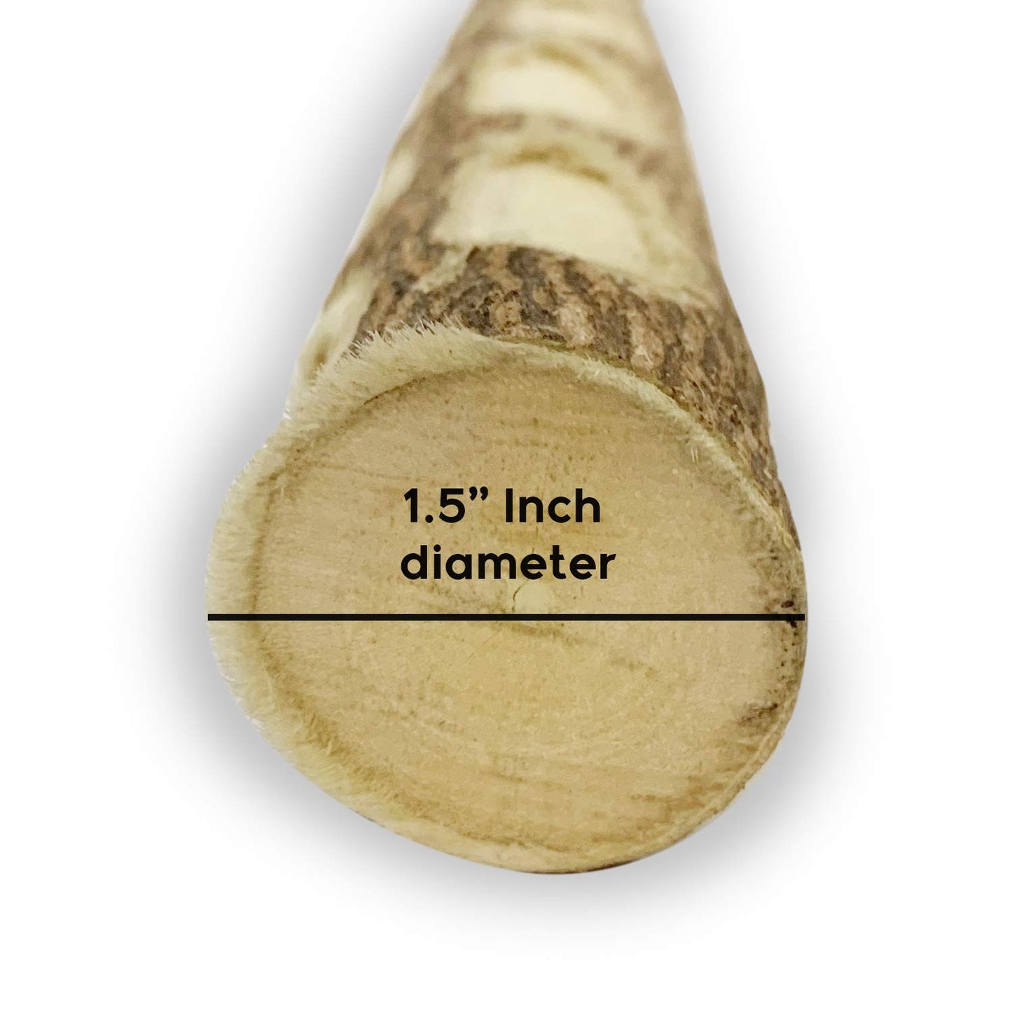 Congo® 18" Inch Dotted Perch Made with Safe Eucalyptus Wood for African Grey, Macaw, Cockatoos, Amazon and Other Big Birds (Piece of 01)