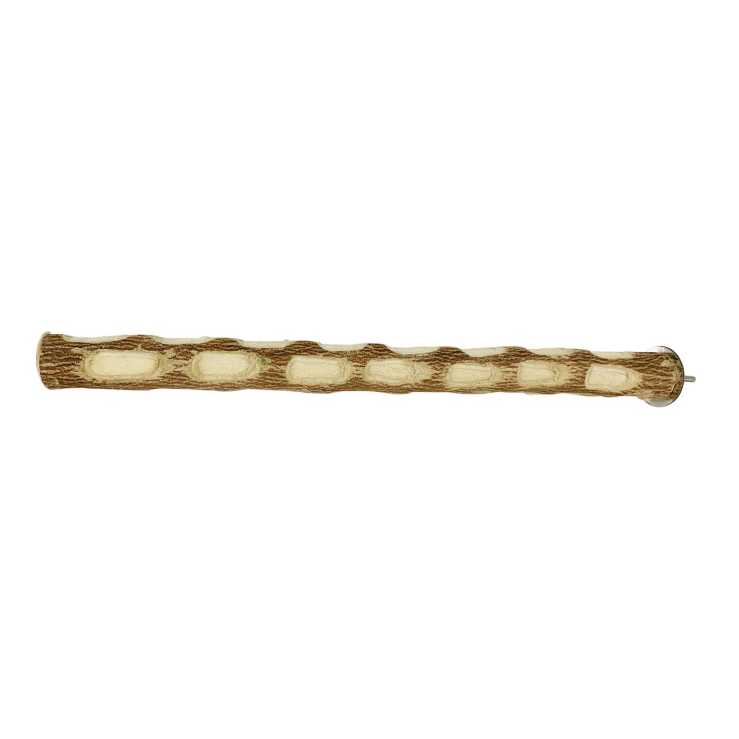Congo® 18" Inch Dotted Perch Made with Safe Eucalyptus Wood for African Grey, Macaw, Cockatoos, Amazon and Other Big Birds (Piece of 01)