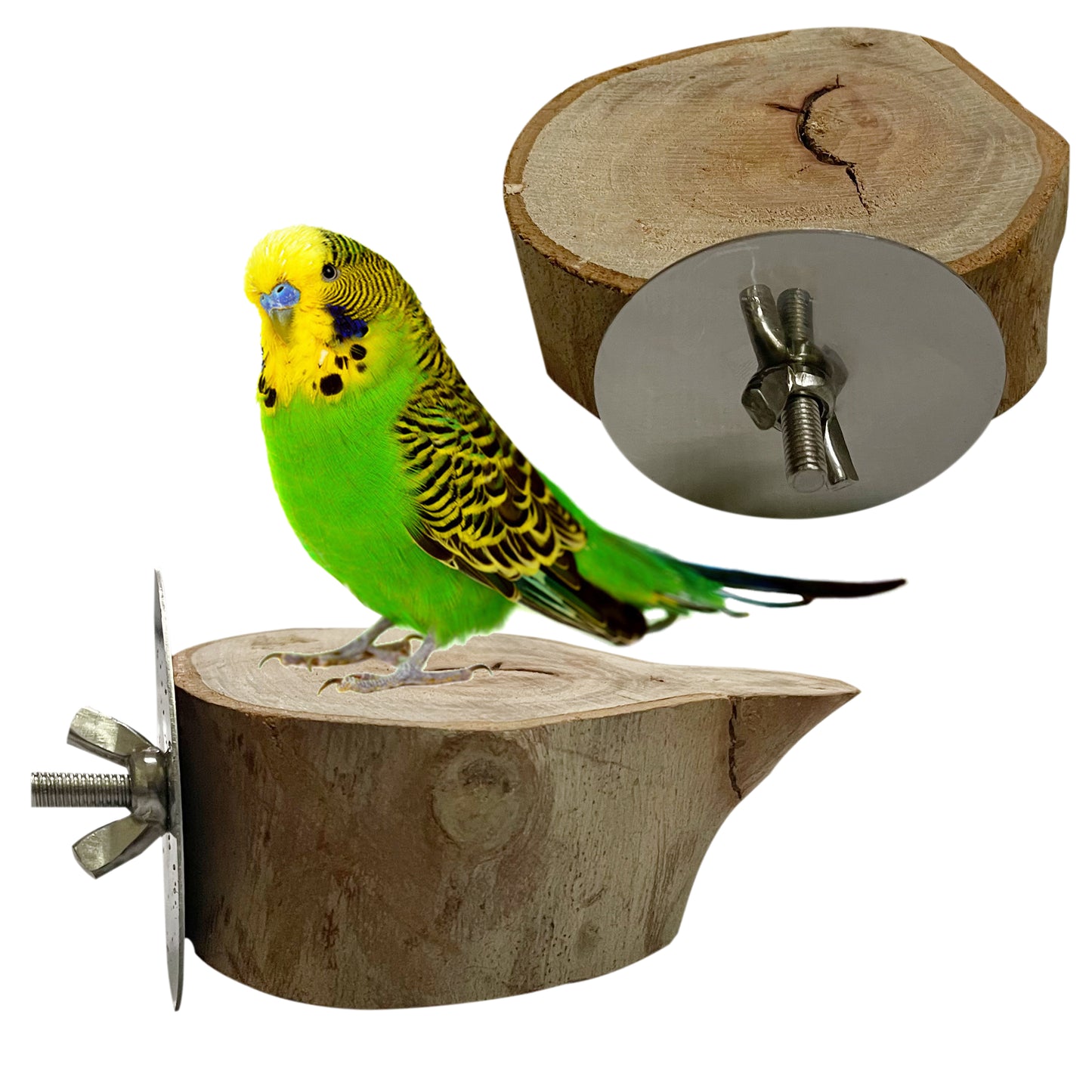 Congo Eucalyptus Pack of 2 Chewable Platform for Siting and Playing for Parakeet, Budgies, Lovebirds, Cockatiels, Conure and Other Birds