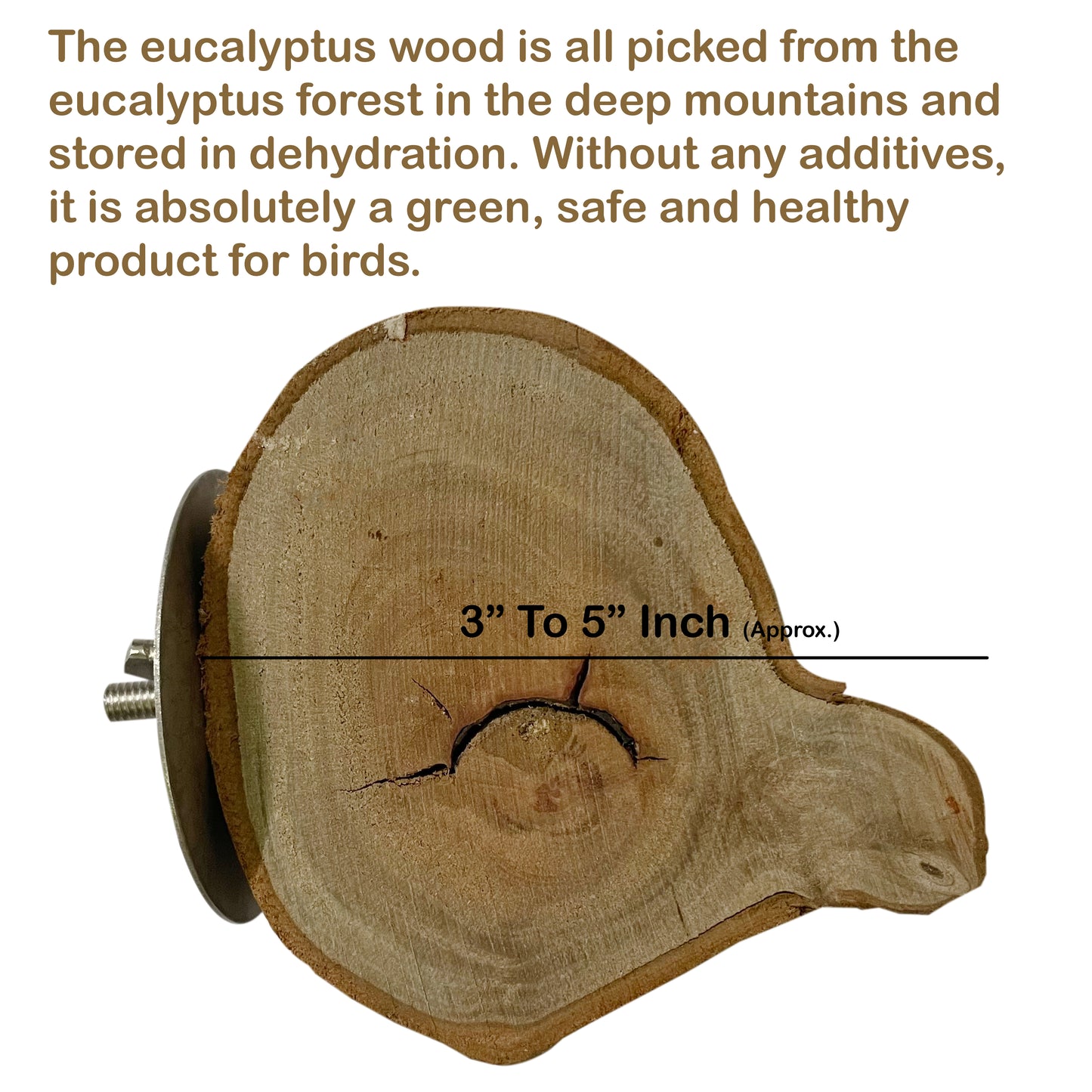 Congo Eucalyptus Pack of 2 Chewable Platform for Siting and Playing for Parakeet, Budgies, Lovebirds, Cockatiels, Conure and Other Birds