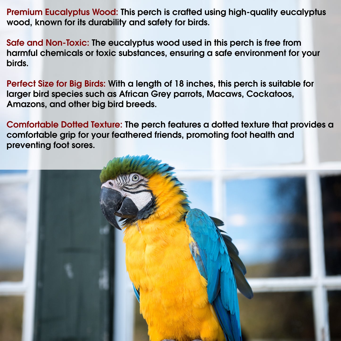Congo® 18" Inch Dotted Perch Made with Safe Eucalyptus Wood for African Grey, Macaw, Cockatoos, Amazon and Other Big Birds (Piece of 01)