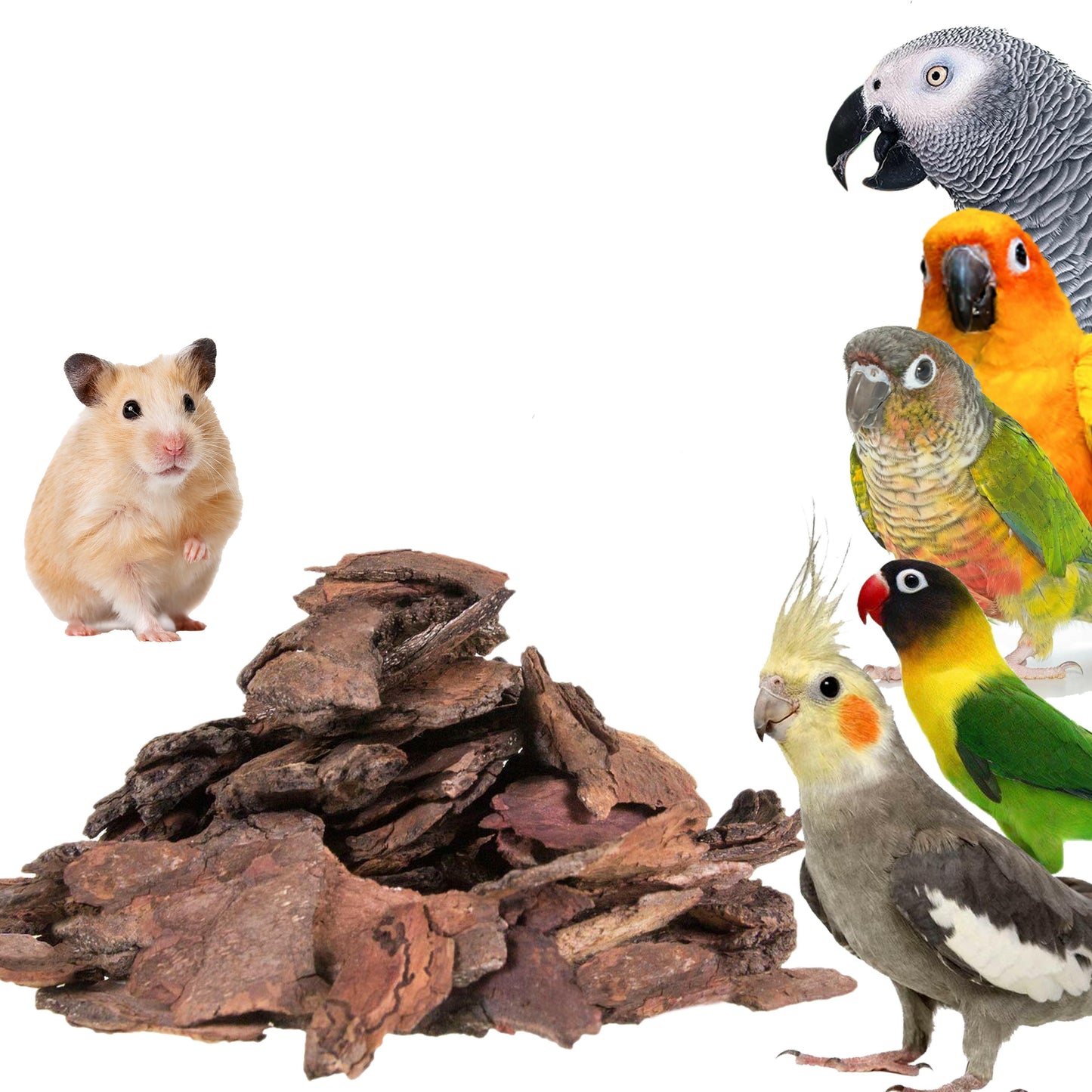 Congo 300gm Neem Chewing Bark for Budgies, Lovebirds, Cockatiels, Conure, Amazon, African Grey and Other Small Pets, 300gm