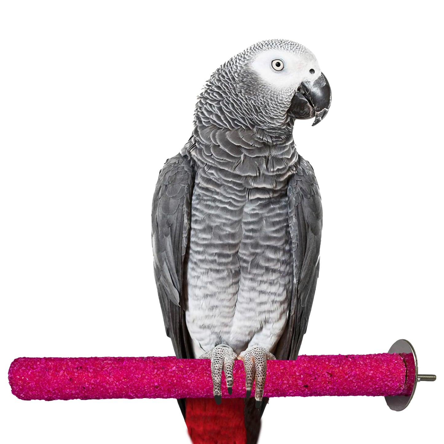 Congo Premium Safe Chew Bird Sandy Sand Perch for Grinding Nail for Birds (Medium Sandy Perch 12")
