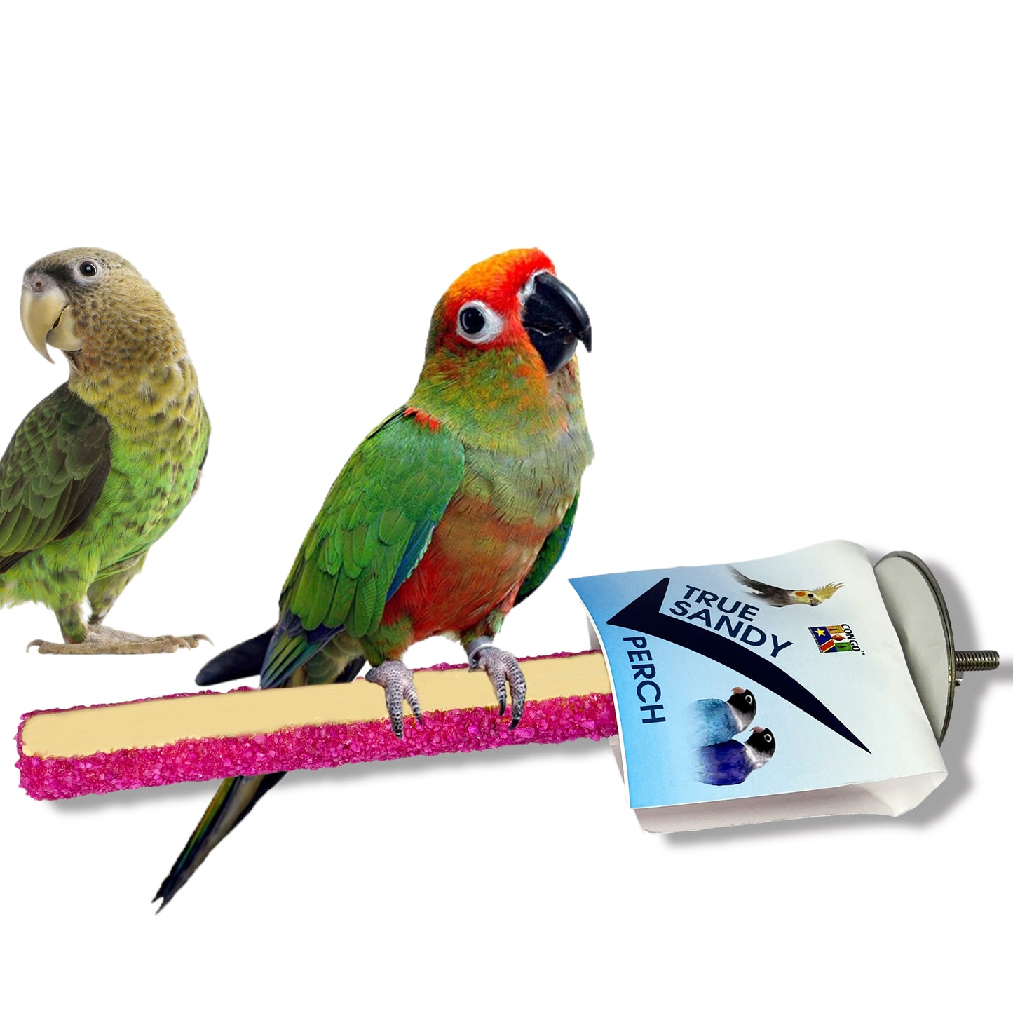 Congo 9 inch True Sandy Sand Perch for Specially Nail Grinding for Lovebirds, Cockatiel and Other Small Birds (9 Inch)