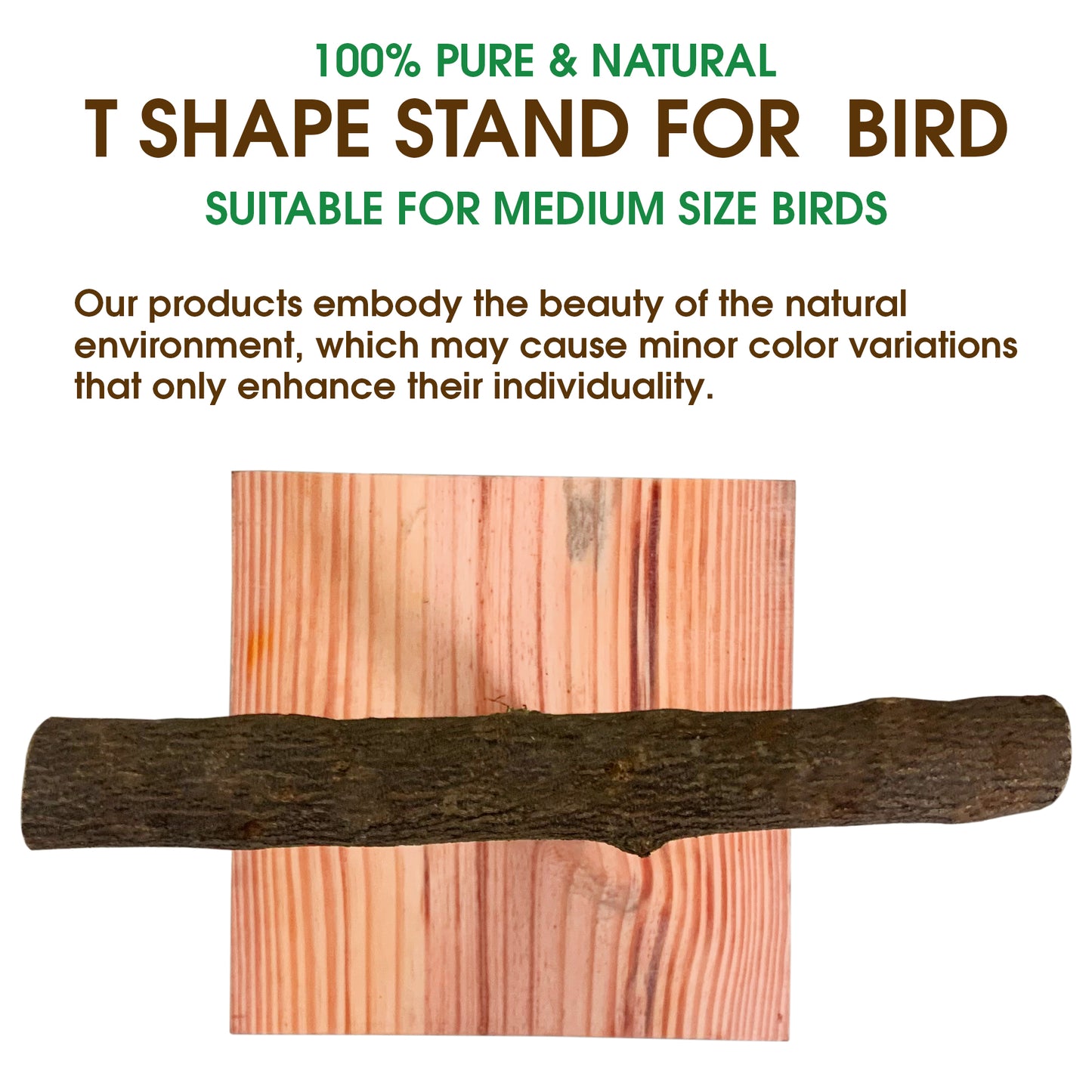 Congo® 1Ft. 10X12.5 Inch T Training Stand Chew-Safe Wood for Finches, Budgies, Conures, Lovebirds, Cockatiels, Senegal, Amazon and Other Birds (Piece of 1)