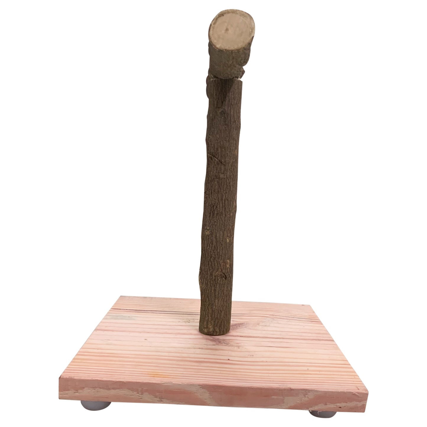 Congo® 1Ft. 10X12.5 Inch T Training Stand Chew-Safe Wood for Finches, Budgies, Conures, Lovebirds, Cockatiels, Senegal, Amazon and Other Birds (Piece of 1)