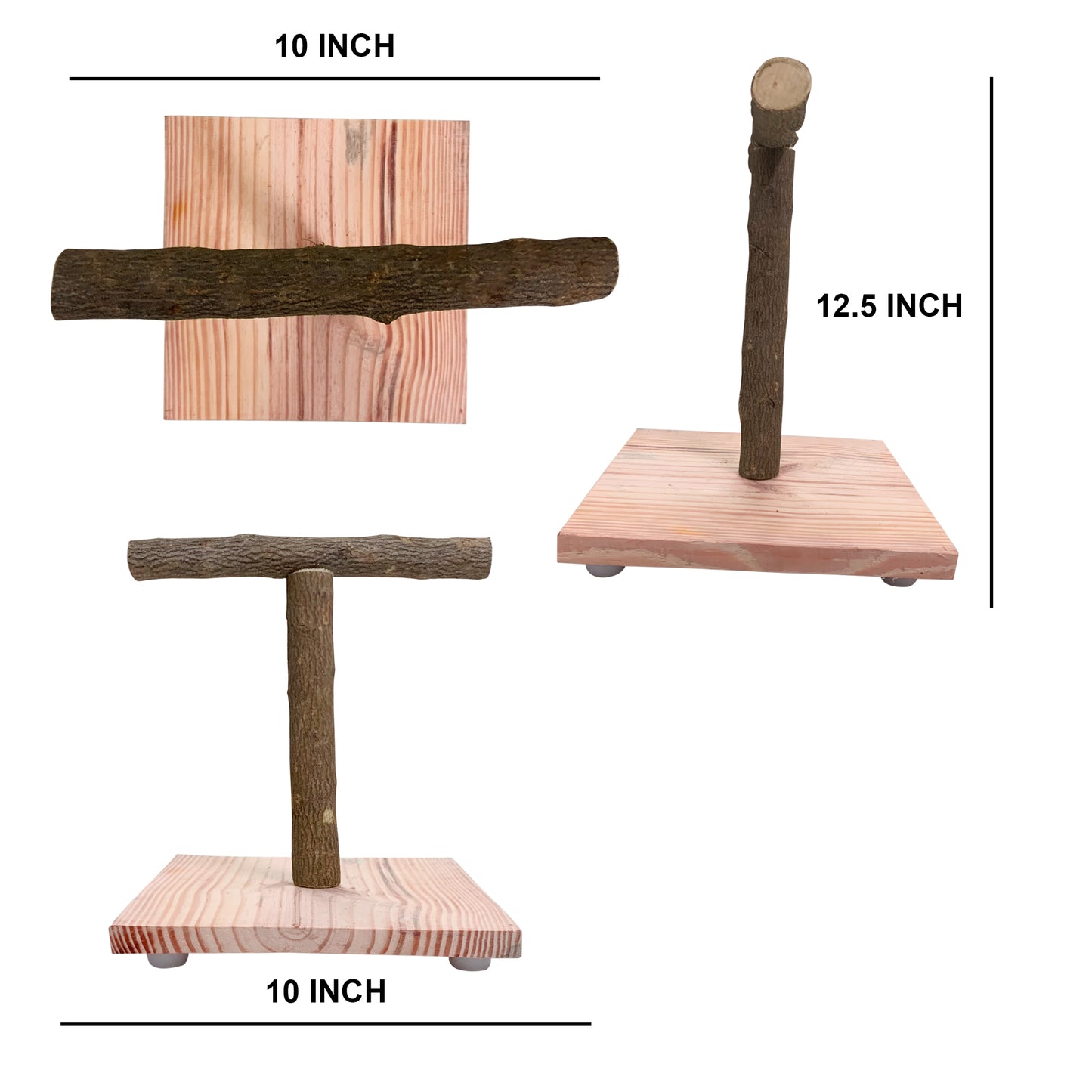 Congo® 1Ft. 10X12.5 Inch T Training Stand Chew-Safe Wood for Finches, Budgies, Conures, Lovebirds, Cockatiels, Senegal, Amazon and Other Birds (Piece of 1)