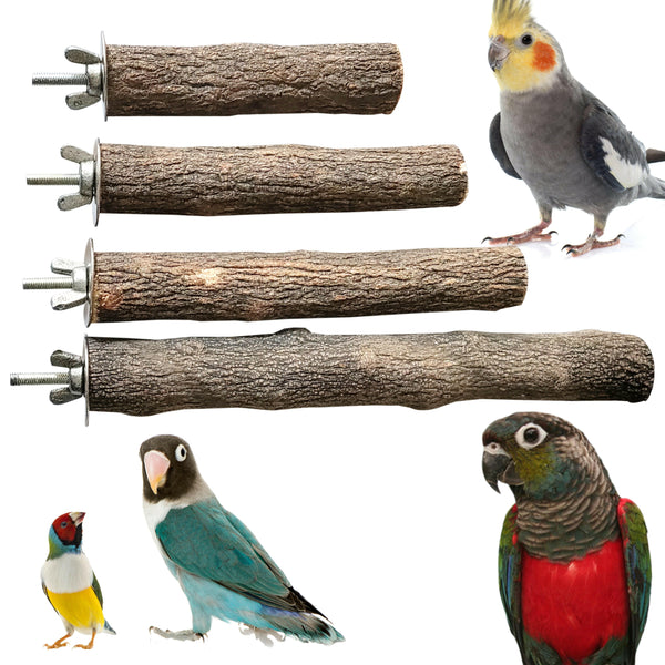 CONGO Mini Perch Set of 4 for Small Birds
