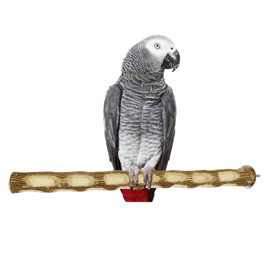 Congo® 18" Inch Dotted Perch Made with Safe Eucalyptus Wood for African Grey, Macaw, Cockatoos, Amazon and Other Big Birds (Piece of 01)