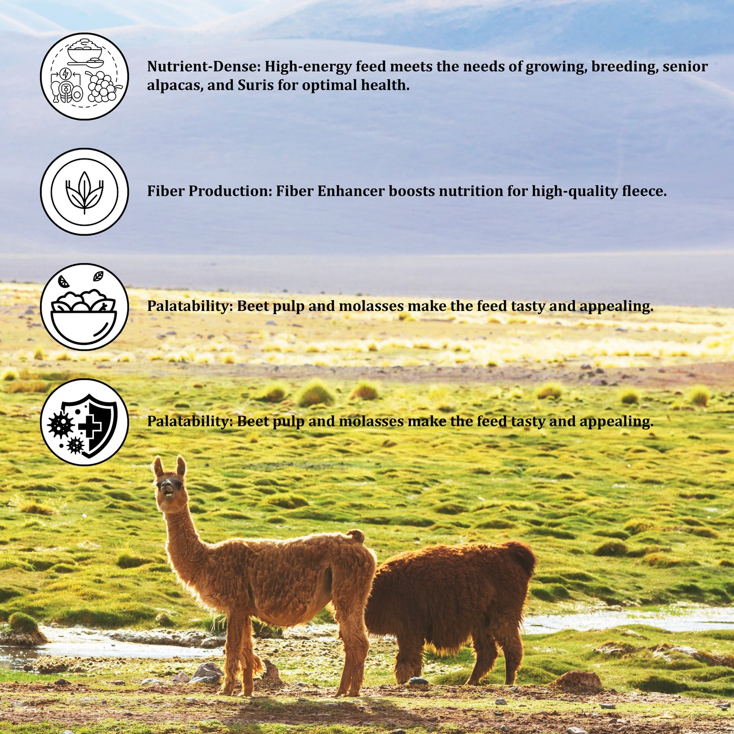 Alpaca/Llama Pellets - Nutrient-Dense Feed for Optimal Health, Fiber Production & Gut Support 25kg