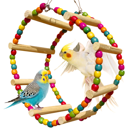 Congo® 25X13cm Colourful Giant Round Swing Wheel Cage Toy for Finches, Budgies, Cockatiels Lovebirds, Conure and Other Birds