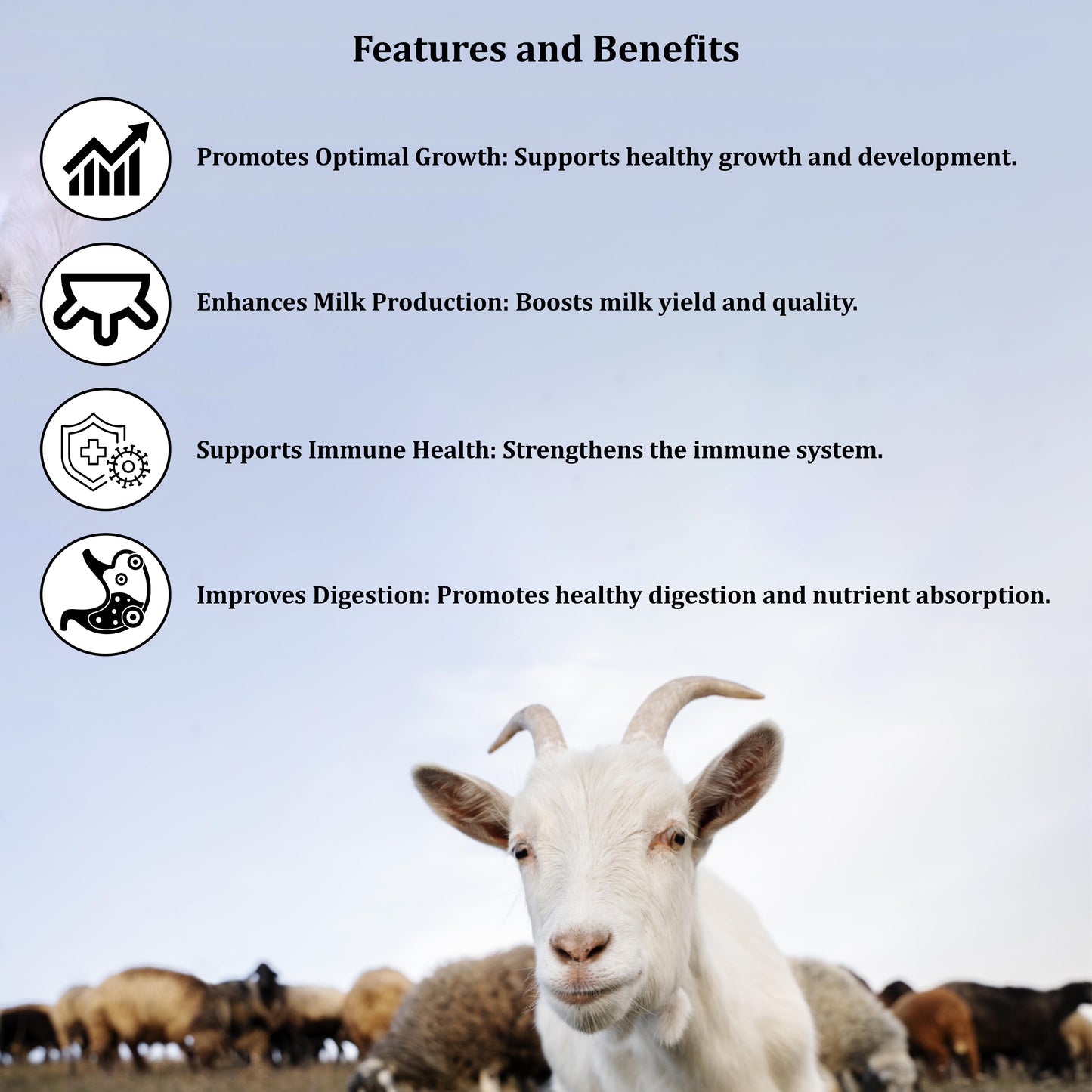 Goat Life Cycle Feed - All-in-One Nutrition for Every Stage