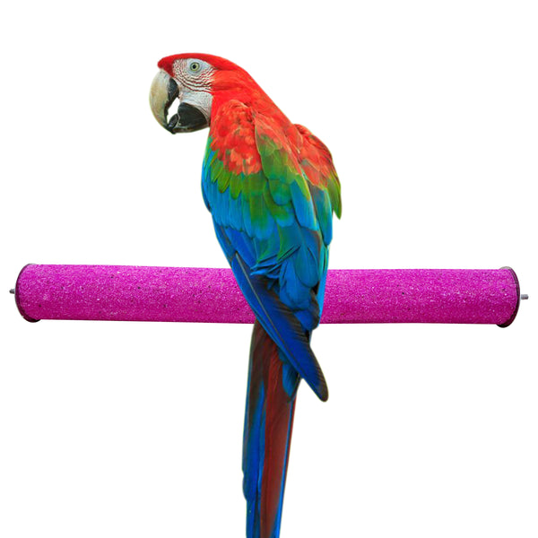 CONGO 18" Sandy Perch for Large Birds