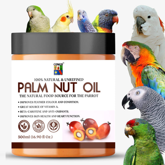 Congo 500g Palm Nuts Oil for Healthy Feather & Wings for Finches, Budgies, Conures, Lovebirds, Cockatiels, African Grey, Macaws, Cockatoo, Eclectus and Other Birds (500gm)