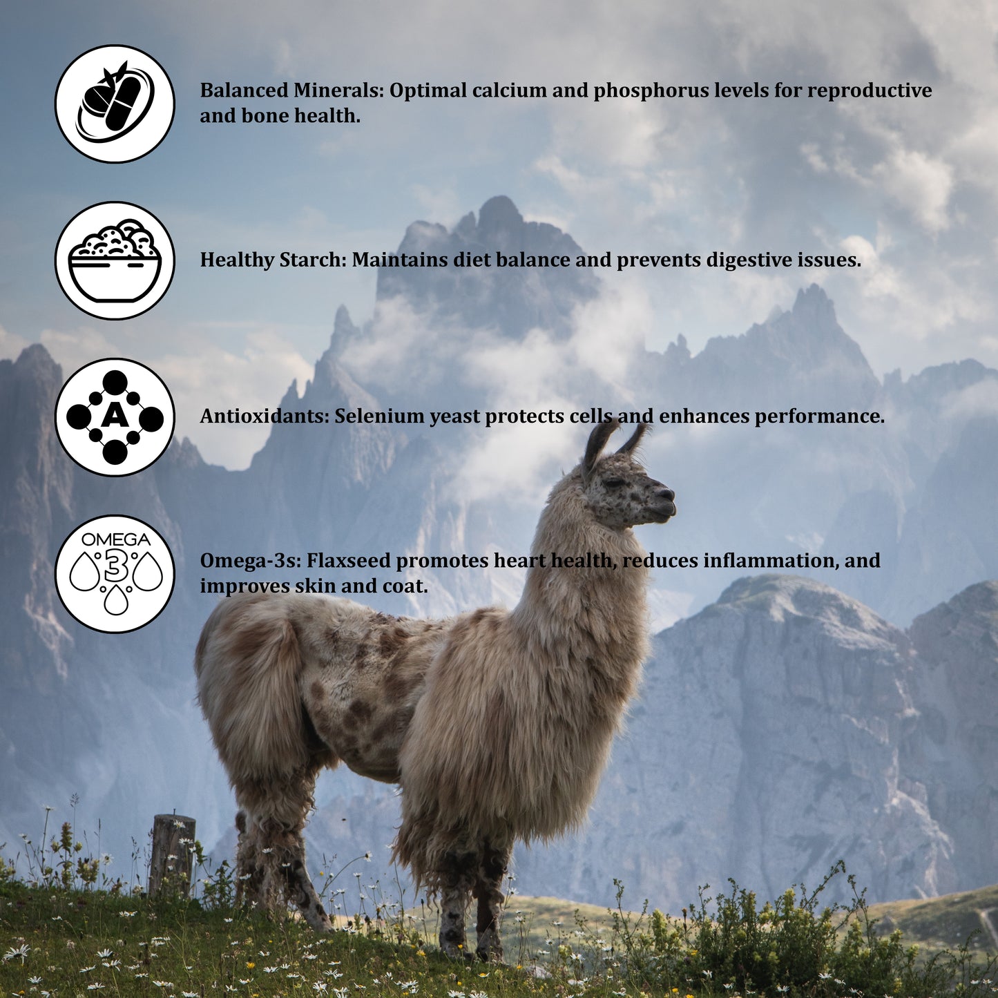 Alpaca/Llama Pellets - Nutrient-Dense Feed for Optimal Health, Fiber Production & Gut Support 25kg