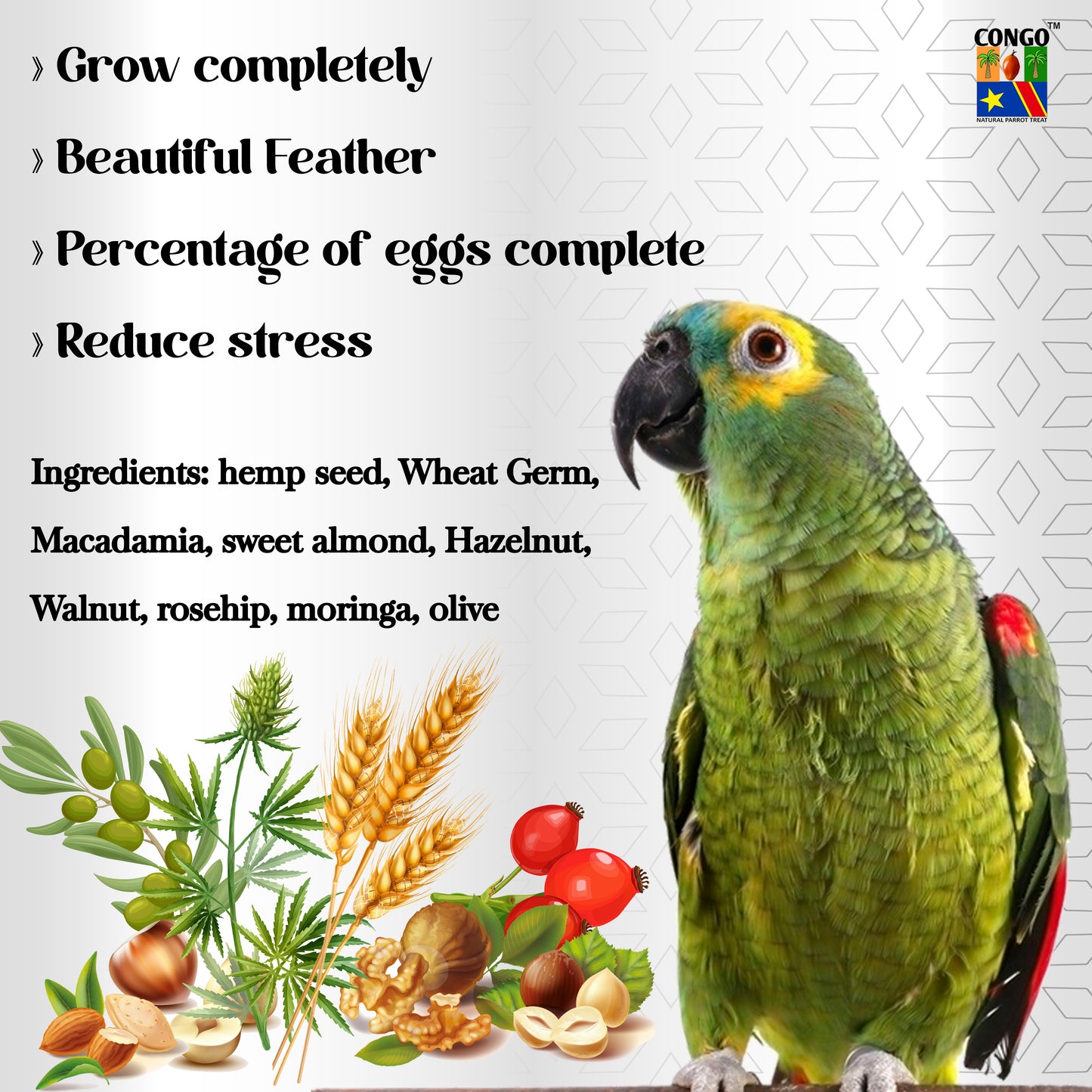 Congo® 100ml Serengeti Oil for Breeding and Nutrition for African Grey, Macaw, Conure, Senegal, Lovebirds and Other Birds