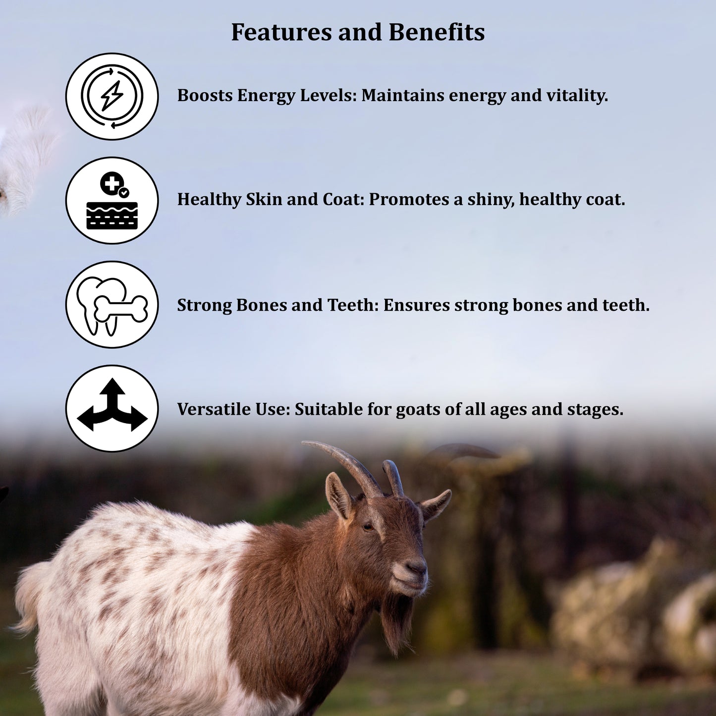 Goat Life Cycle Feed - All-in-One Nutrition for Every Stage