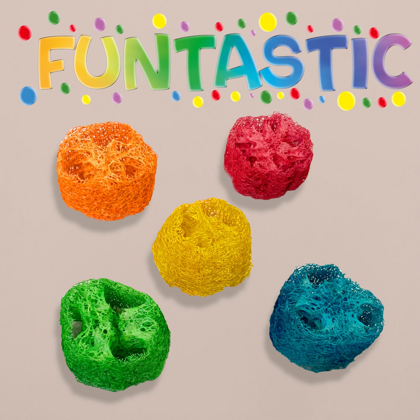 Congo® 5 Pc. Funtastic Chew Slice for Chew and Playing for Budgies, Finches, Cockatiel, Lovebirds, and Other Small Birds (Set of 1)