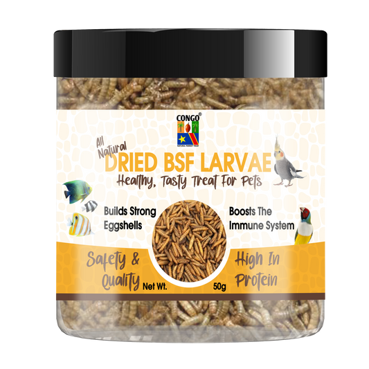 Congo® BSF Dry Larvae 50g High Protein Treat for Fish, Birds, Turtles, Tortoise and Other Pets, 50g