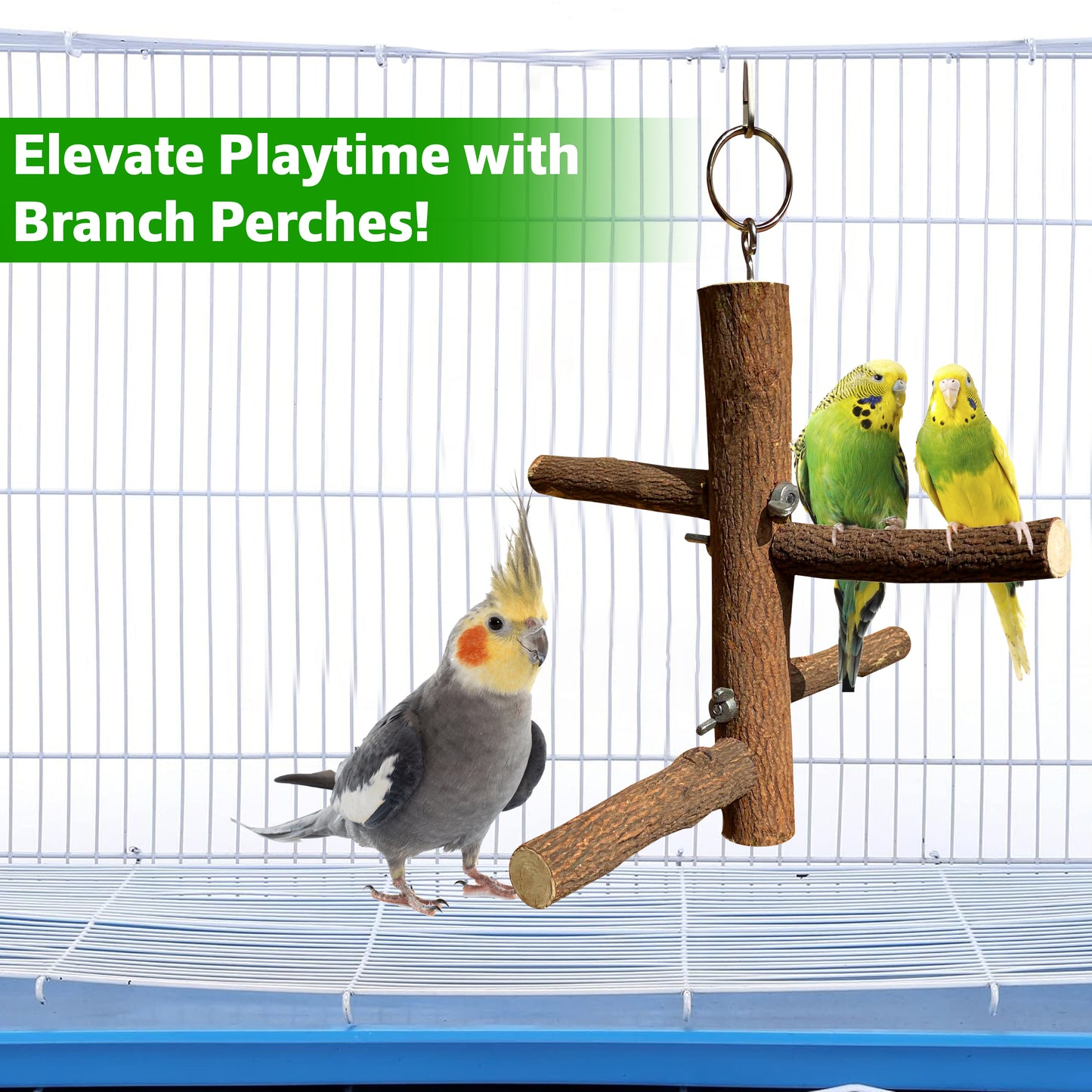 Congo® 4 Perch Hanging Toy Stand for Parakeet, Budgies, Lovebirds, Cockatiels, Conure and Other Birds