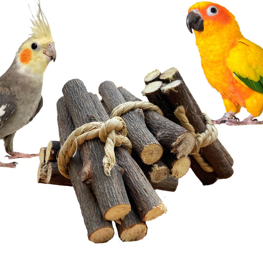 Congo 5 Pc. Neem Chewing Toy Twigs for Budgies, Cockatiels, Conure, Senegal, Amazon, African Grey and Other Birds