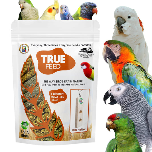 Congo® True Feed Different 4 Types of Millet Hills and Hills Holder (Foxtail, Barnyard, Sorghum, Pearl Millet) Foraging Bird Nutrition Food for Budgies, Lovebirds, Cockatiels, Conure, and Other Birds