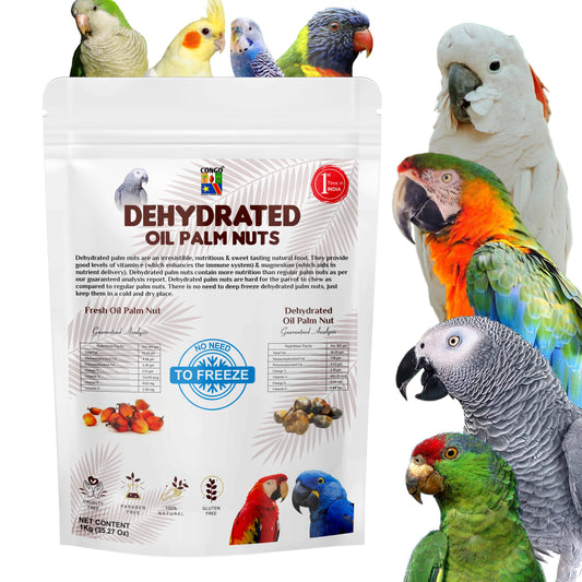 Congo® 1Kg Dehydrated Oil Palm Nut for Parakeet, Cockatiels, Conure, Amazon, Senegal, African Grey, Macaw, Cockatoo, Eclectus and Other Birds, 1Kg