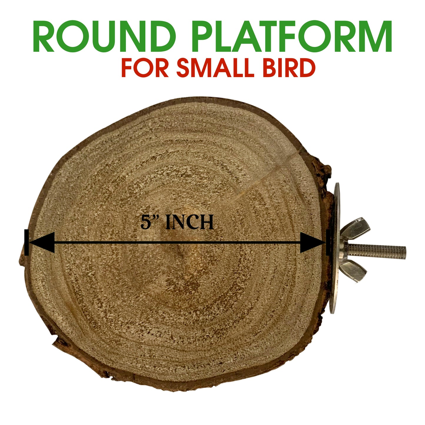 Congo 5 Inch Essential Wooden Round Platform for Budgies, Lovebirds and Other Birds (Piece of 1)