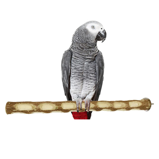 CONGO® Premium 18" Long Dotted Sitting And Chewing Perch For Conure, Amazon, African Grey, Macaw And Other Bird Piece of 1